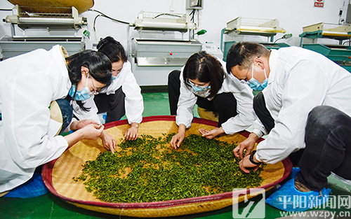 培育技能型人才 促进茶产业发展